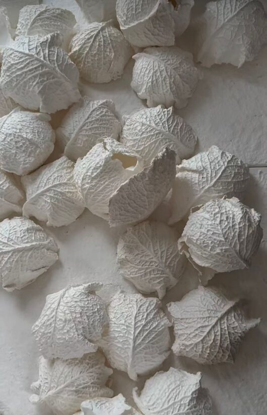 MY CABBAGE 95x165 cm